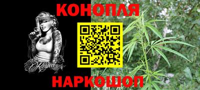 СК Моздок