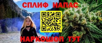 СК Моздок