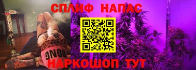 СК Моздок