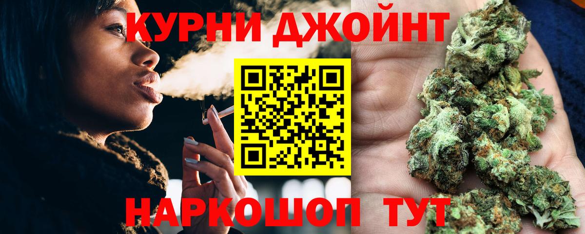 Конопля конопля Сыктывкар